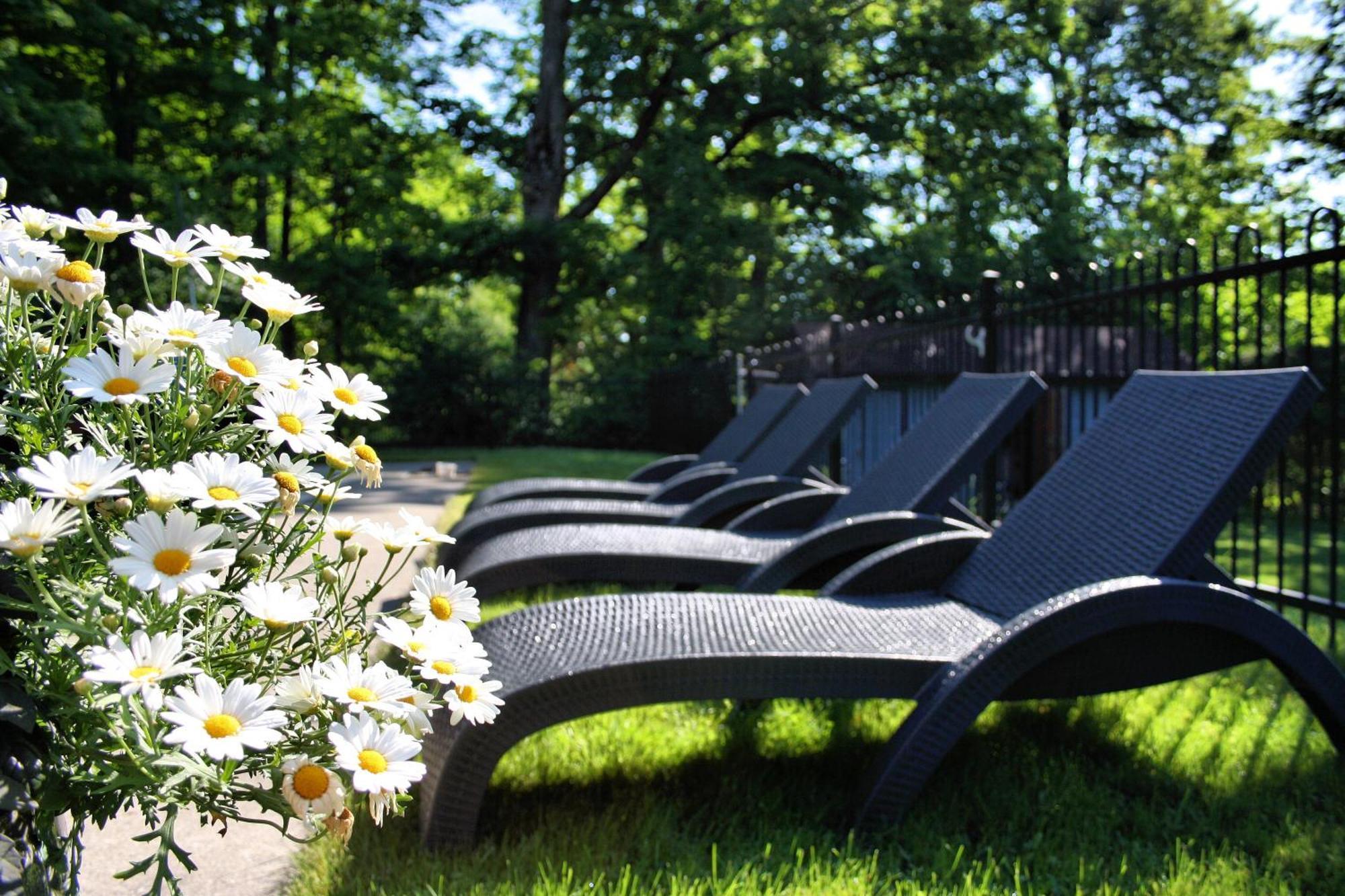 Domaine Jolivent Hotel Lac-Brome Eksteriør billede